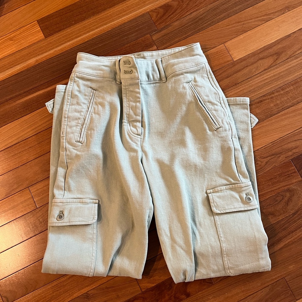 Aritzia Modern Cargo Pants sagesse